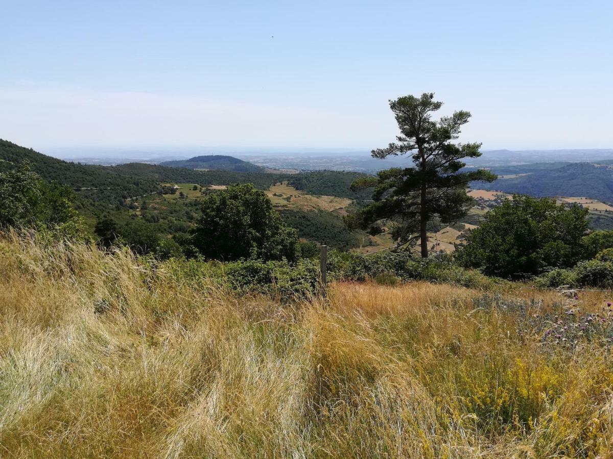 Chez Mary Daire Vanosc Dış mekan fotoğraf