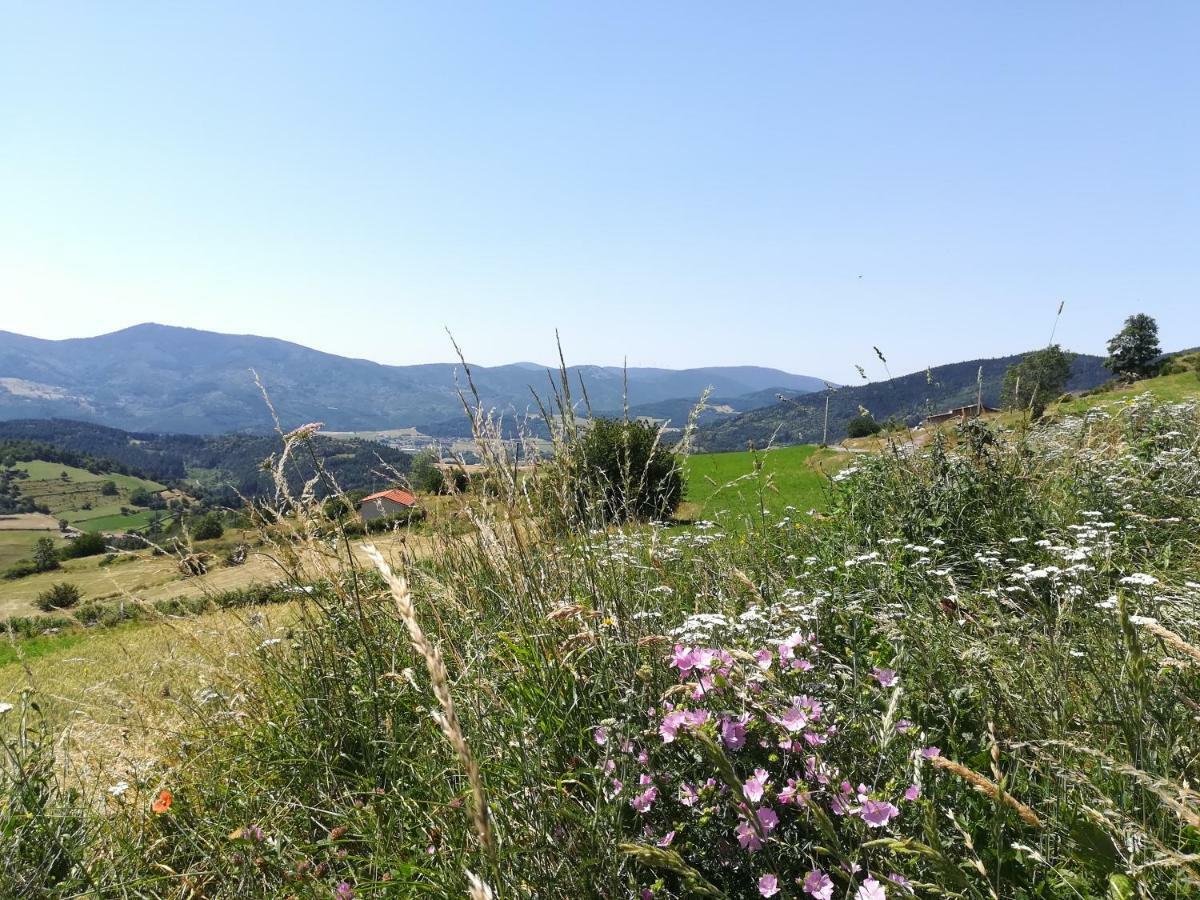 Chez Mary Daire Vanosc Dış mekan fotoğraf